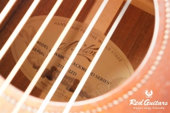 EBW808C - Blues Burst 